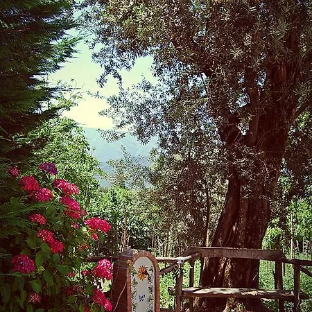 Agroturismo Res Rustica